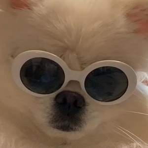 꿻뷂 profile image