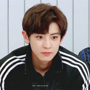 电话线 profile image