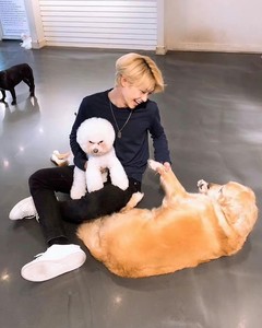 西瓜04 profile image