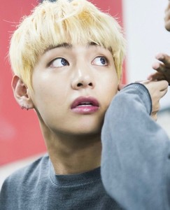 금사빠아니고해바라기 profile image