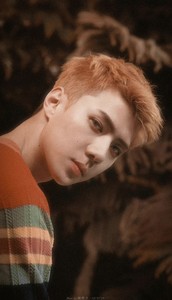 Lychee412 profile image