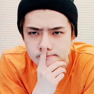 54勋xunbb profile image