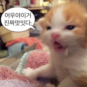 브린니 profile image