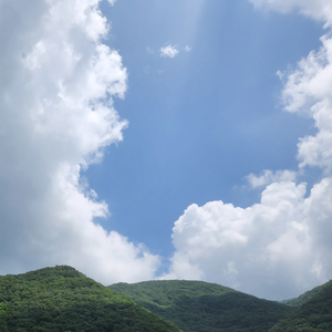 지유7 profile image