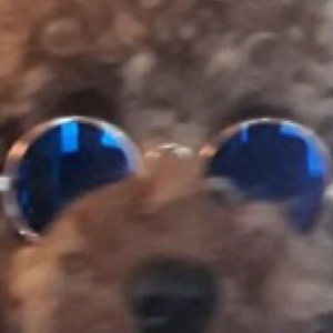 기쒀어언을제압해 profile image