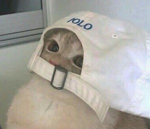 백이연 profile image