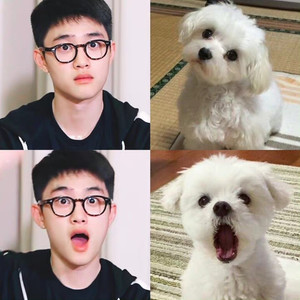 Dooooomg profile image