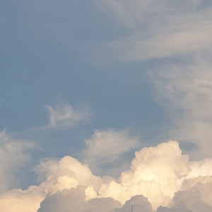 쿠웁스짱 profile image