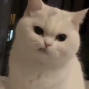 웱옹 profile image