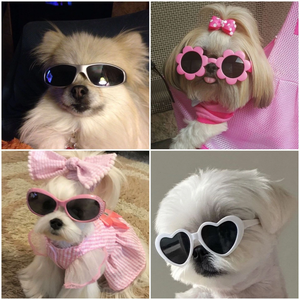 a3808555c95ae5cb3a526aa1b8e133bd profile image