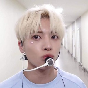 대머리독수리 profile image