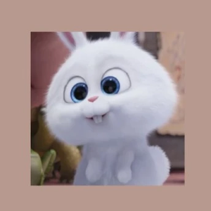 토끼님 profile image