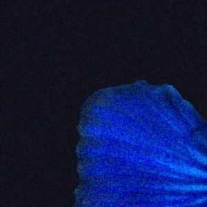 이게무슨일이여어 profile image