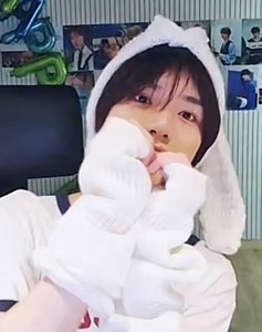 쉿나의아기말티즈 profile image