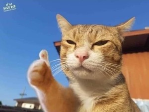 소곡이 profile image