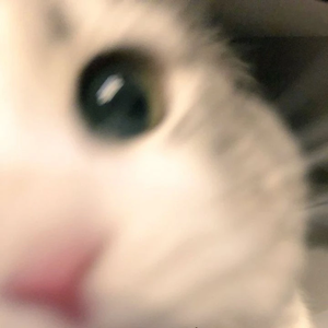 뺘뱝뺩 profile image