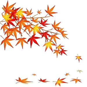 afa41d80b04ce135552a4e43338a6416 profile image