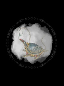 현무관 profile image