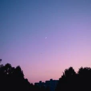 아리도 profile image