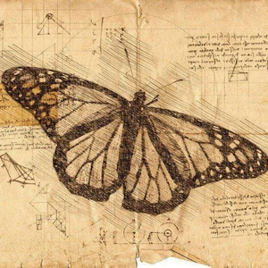 뿡떡 profile image