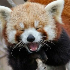 수련이 profile image