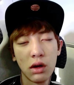 loeypipi profile image