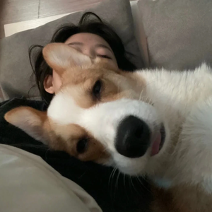 sehun的池林 profile image