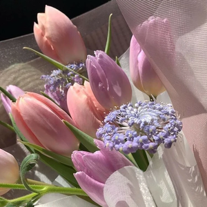 세릴니아 profile image