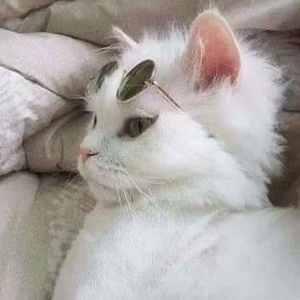 라겨울 profile image