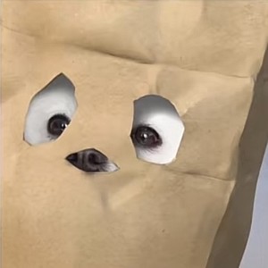 빙봉이 profile image