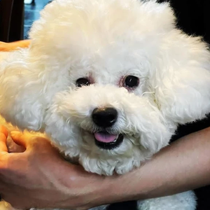 yyyysmn profile image