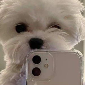 짱구신 profile image