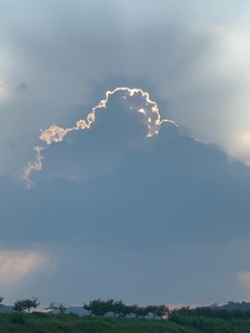 에렐잉 profile image