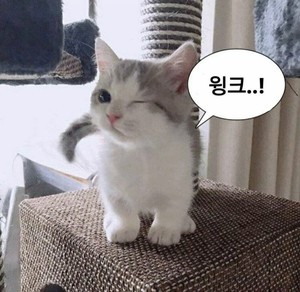 꿀한통설탕두스푼 profile image