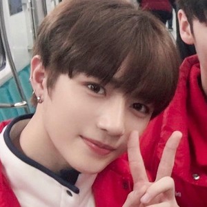 샴푸의요정 profile image