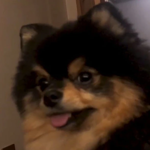 fairykimthv profile image