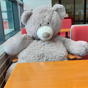 흐하 profile image