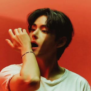 태형태태뷰 profile image