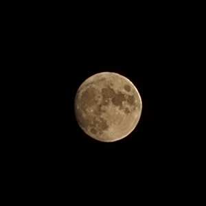 문문문 profile image