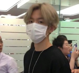 边伯贤的苦茶 profile image