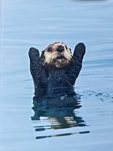 뽀스베이비 profile image