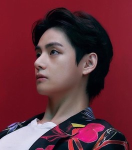 천태형 profile image