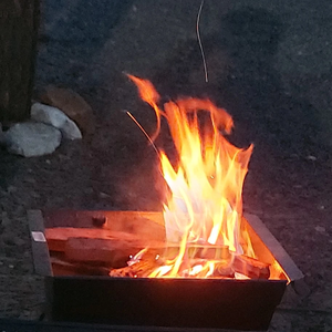 immagine del profilo