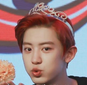 oshbabe1 profile image