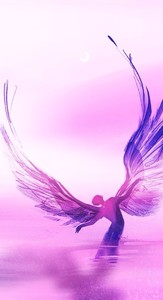 2guest1013 profile image