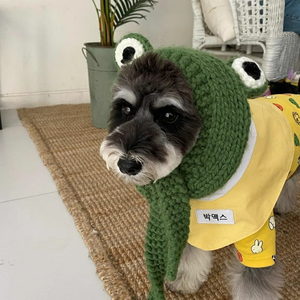 윙부자 profile image