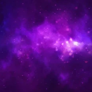 다크웹 profile image