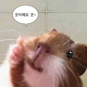 햄찍찍 profile image