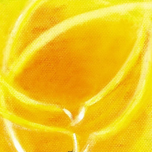 andreazack profile image