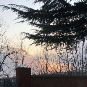 장예우 profile image